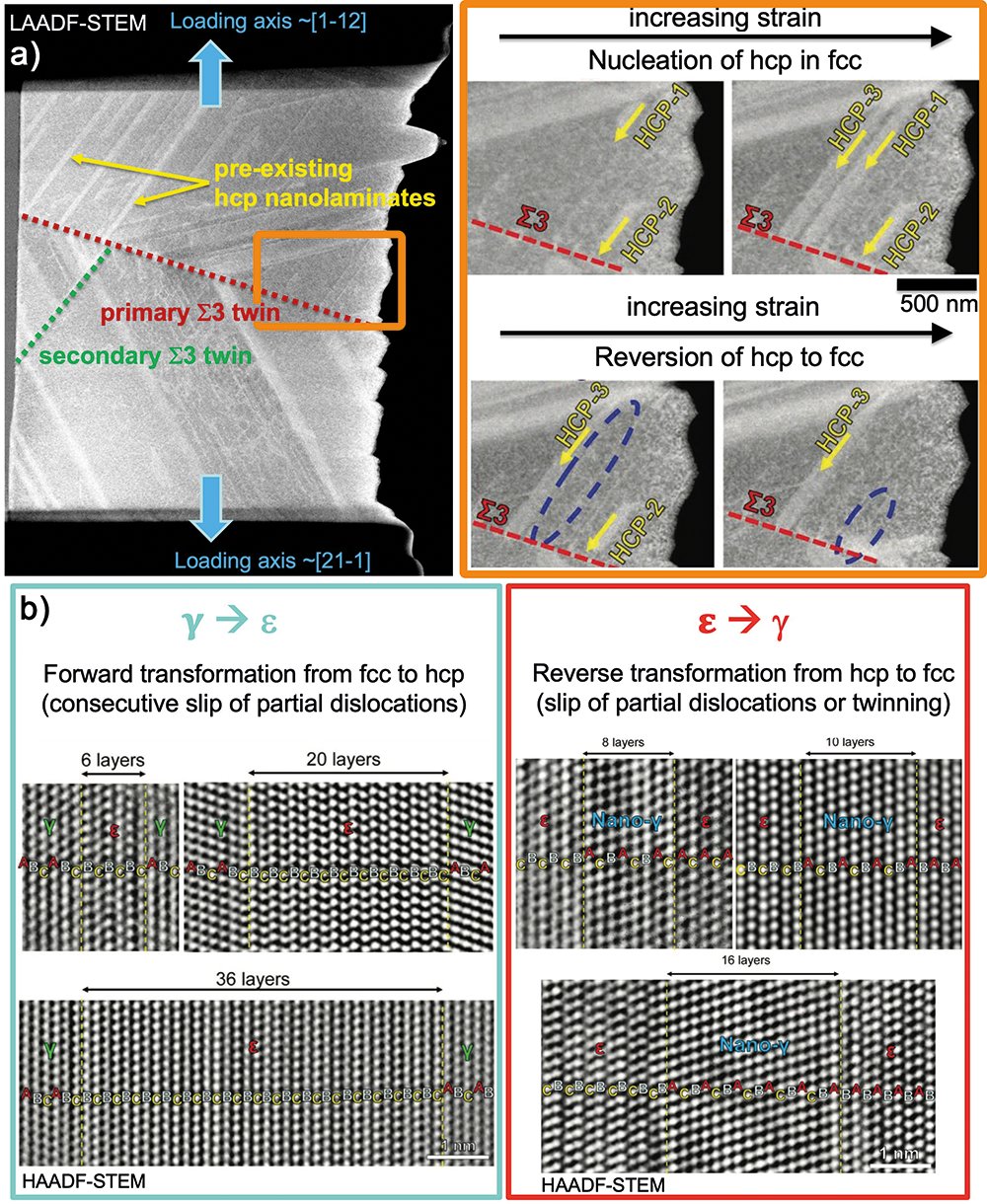 Fig. 1: a) Low angle annular dark-field (LAADF) STEM image of the focused ion beam prepared straining sample form a fcc g-block with pre-existing hcp e-nanolaminates. Dynamic bidirectional forward gàe and backward eàg transformation upon straining. b) Atomic resolution STEM images of various configurations of e-nanolaminates in a g-block, respectively g-nanotwins in a e-block, after bulk tensile deformation. 