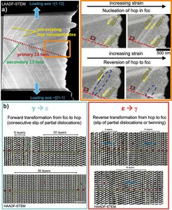 Fig. 1: a) Low angle annular dark-field (LAADF) STEM image of the focused ion beam prepared straining sample form a fcc g-block with pre-existing hcp e-nanolaminates. Dynamic bidirectional forward gàe and backward eàg transformation upon straining. b) Atomic resolution STEM images of various configurations of e-nanolaminates in a g-block, respectively g-nanotwins in a e-block, after bulk tensile deformation.