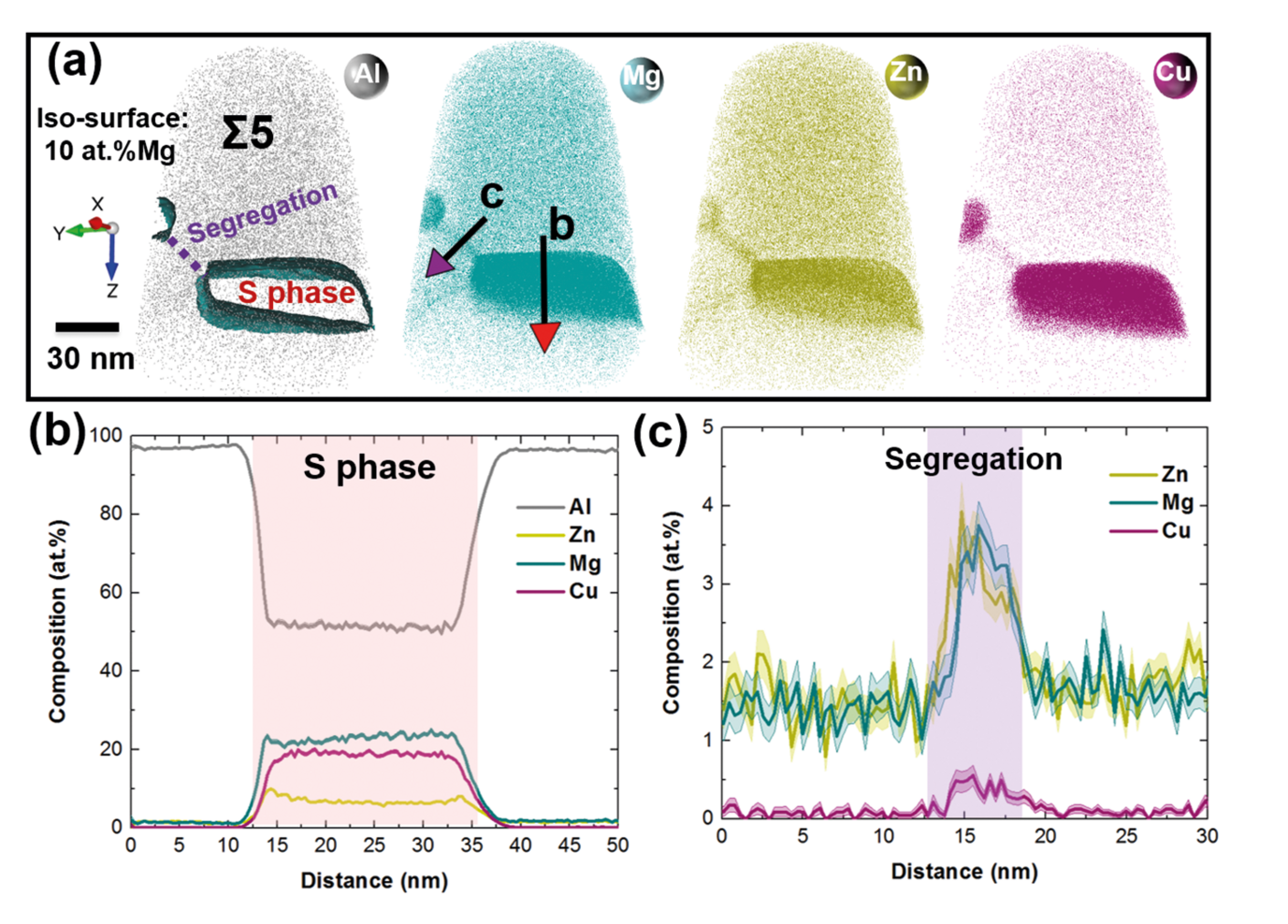 Fig. 2: APT analysis of the same Σ5 GB with STEM analysis: (a) Atom maps of all elements; (b) Corresponding composition profile across the precipitate calculated along the red arrow; (c) Corresponding composition profile across the region between two precipitates calculated along the purple arrow.  GB: grain boundary. Figure is from Ref. [1], published under a CC-Attribution 4.0 international license. 