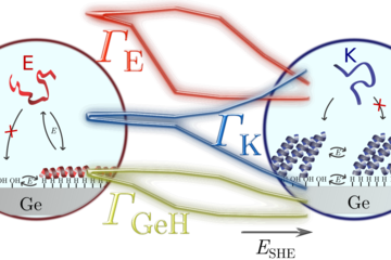 Smart electro-responsive interfaces for controlled biomolecule adsorption