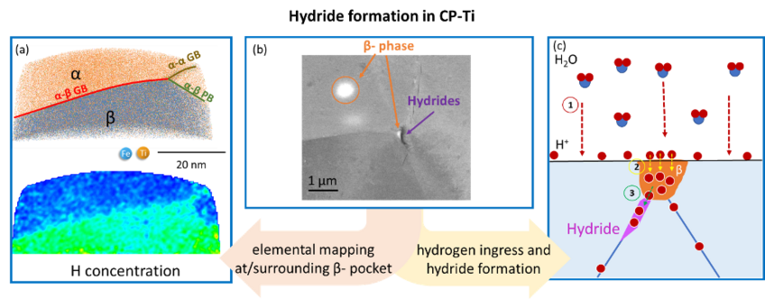 Schematic of hydride formation in CP-Ti. (a) APT elemental mapping at/surrounding β-pocket. (b) BSE-image of β-pocket in the triple joint. (c) Schematic of hydride formation  Schematic of hydride formation in CP-Ti. (a) APT elemental mapping at/surrounding β-pocket. (b) BSE-image of β-pocket in the triple joint. (c) Schematic of hydride formation
