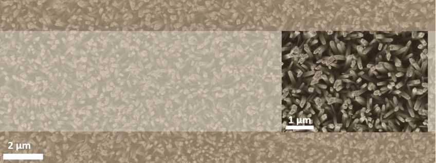 Metal-TiO2 nanowires for electrochemical applications Metal-TiO2 nanowires for electrochemical applications
