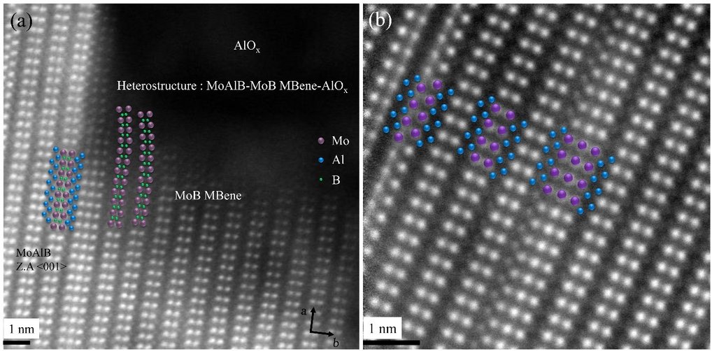 Figure 1. HAADF STEM images of (a) MoB MBene next to a AlOx region and (b) various defect structures in MoAlB MAB phase. Data from publication [2]. 