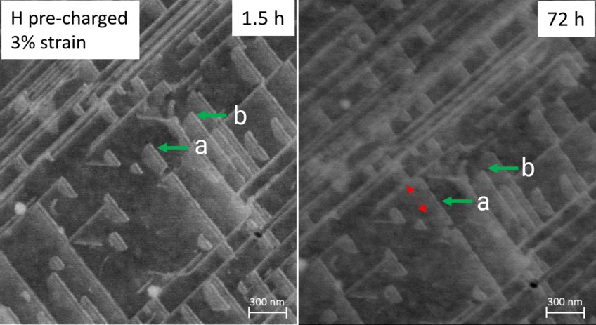 Fig. 1: Behavior of stacking faults (marked a and b) from 1.5 h to 72 h after H pre-charging with 3% constant strain during the observation. Fig. 1: Behavior of stacking faults (marked a and b) from 1.5 h to 72 h after H pre-charging with 3% constant strain during the observation.