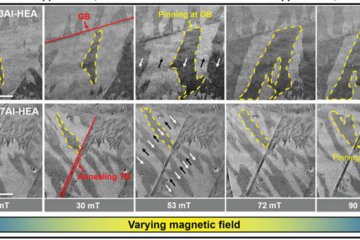 Ultrastrong and Ductile Soft Magnetic High-Entropy Alloys via Coherent Ordered Nanoprecipitates