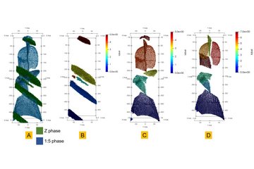 Microstructure Data Mining in Atom Probe Tomography via Machine Learning