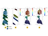 Microstructure Data Mining in Atom Probe Tomography via Machine Learning