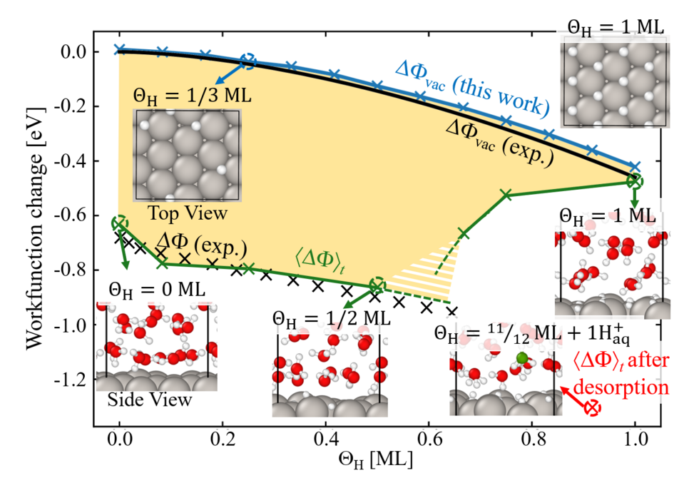 Fig.1: Work function (blue) and time-averaged electrode potential (green) as function of qH coverage on Pt(111) with respect to the DFT computed work function of the clean Pt(111) surface (5.50 eV). For comparison, the experimentally measured work function [2] (black line) and electrode potential [3] (black crosses) are included. The critical H concentration is predicted to lie the yellow hashed area and is extrapolated as indicated by the dashed green lines. Representative surface and interface structures at select coverages are shown as insets with the grey, red, green, and white spheres representing Pt, O belonging to water molecules, O belonging to a solvated hydronium ion, and H atoms respectively.