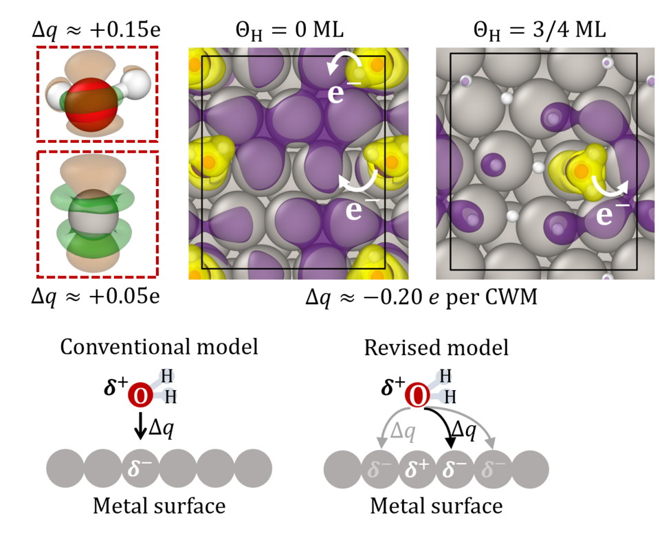 Fig. 2: Top: Charge density difference showing the charge redistribution in the H/Pt(111)/H2O system. Side view of the charge distribution of a water molecule chemisorbed on top of a Pt atom with respective charges Dq obtained by integration over the volumes indicated by the red dashed lines (left). Top view of the charge redistribution for different coverages of co-adsorbed H (middle, right). Bottom: Conventional model for chemisorbed water-metal bonding (left) and revised model, based on our findings (right).  