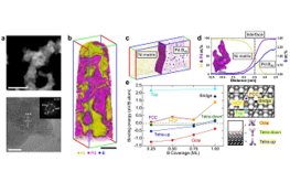 Impurity engineering for electrochemical nano-catalysts