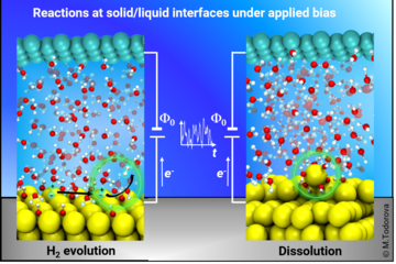 Mg Corrosion Under Anodic Conditions