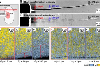 The dual role of martensitic transformation in fatigue crack growth