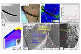 Hydrogen-associated decohesion and localized plasticity in a high-Mn two-phase lightweight steel
