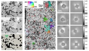 Integrated experimental simulation