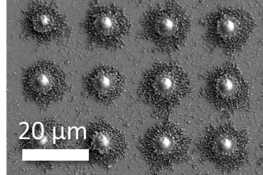 Strain rate, size and defect density interdependence on the deformation of 3D printed microparticles