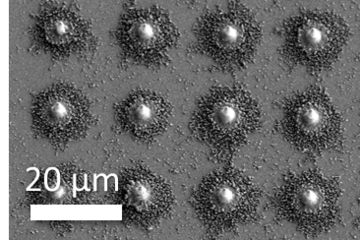 Strain rate, size and defect density interdependence on the deformation of 3D printed microparticles
