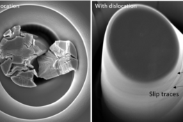 Dynamic mechanical properties of functional ceramic oxides