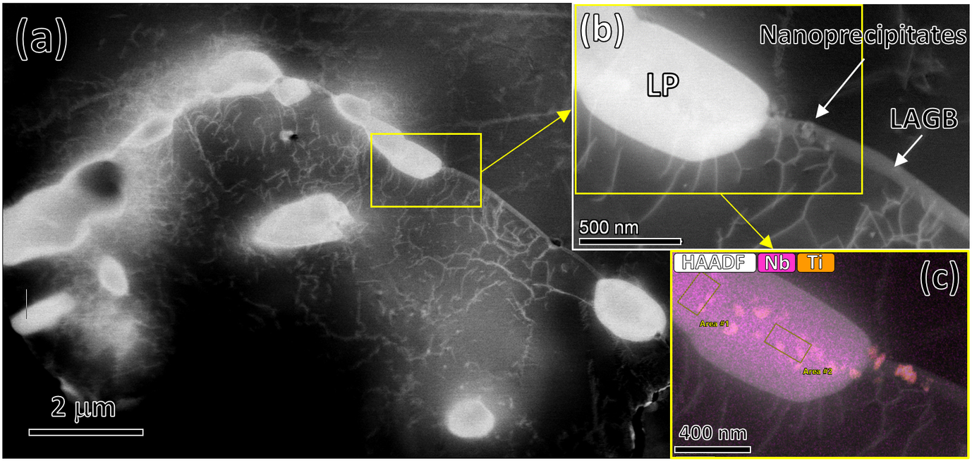 Figure: Microstructure of an in situ alloyed Ni-based alloy after aging at high-temperature. (a) STEM-HAADF image showing a large precipitates (LP) along low-angle grain boundary (LAGB) surrounded by dislocation tangles. (b) In detail a LP along a LAGB decorated with nanoprecipitates (NP) with a mean diameter of 25 nm. (c) HAADF image superimposed by Ti and Nb EDS maps.
