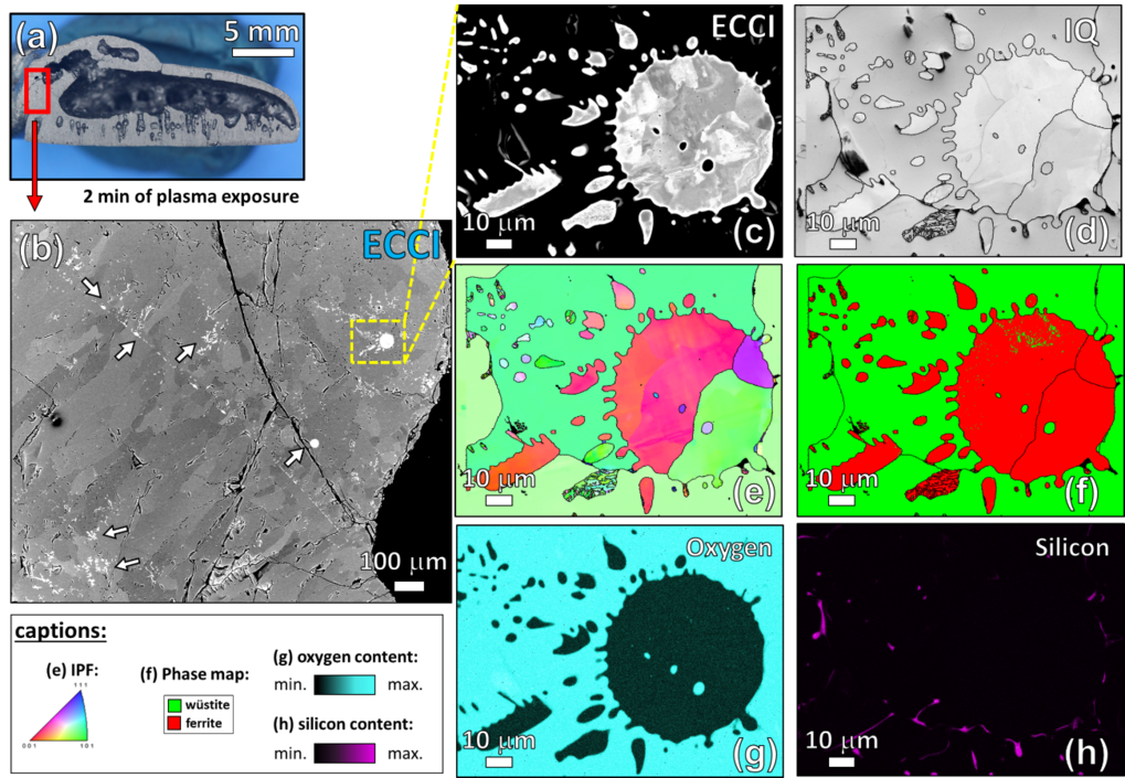 Figure 2. Microstructural characterization of the sample partially reduced for 2 min. (a) Overview of the sample. The red frame shows the chosen area for the correlative EBSD-ECCI probing approach. (b) ECCI-image of the area delimited by the red frame in (a). The white arrows evidence the presence of small domains of iron. (c) ECCI-image showing an enlarged view of the region delimitated by the yellow frame in (a). The corresponding EBSD maps of the area displayed in (c) are as follows: (d) image quality (IQ) map; (e) inverse pole figure (IPF) map in which the crystallographic orientations are shown perpendicular to the normal direction of the sample, i.e. parallel to the solidification direction; (f) phase map where wüstite and ferrite are represented by green and red respectively; (g) oxygen distribution and (h) silicon distribution maps. The corresponding captions are properly indicated in the bottom left-hand side of the figure. 