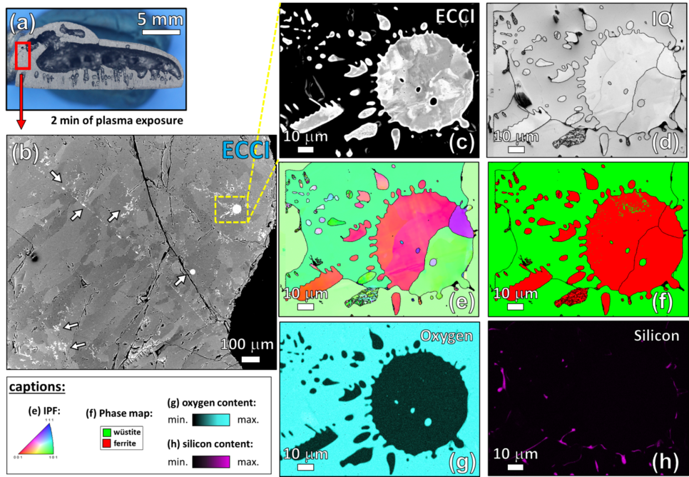 Figure 2. Microstructural characterization of the sample partially reduced for 2 min. (a) Overview of the sample. The red frame shows the chosen area for the correlative EBSD-ECCI probing approach. (b) ECCI-image of the area delimited by the red frame in (a). The white arrows evidence the presence of small domains of iron. (c) ECCI-image showing an enlarged view of the region delimitated by the yellow frame in (a). The corresponding EBSD maps of the area displayed in (c) are as follows: (d) image quality (IQ) map; (e) inverse pole figure (IPF) map in which the crystallographic orientations are shown perpendicular to the normal direction of the sample, i.e. parallel to the solidification direction; (f) phase map where wüstite and ferrite are represented by green and red respectively; (g) oxygen distribution and (h) silicon distribution maps. The corresponding captions are properly indicated in the bottom left-hand side of the figure. 