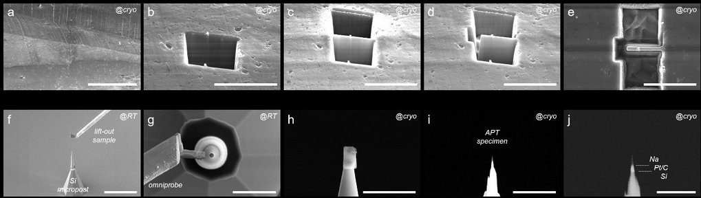 Figure 2. cryo-APT specimen fabrication process Figure 2. cryo-APT specimen fabrication process