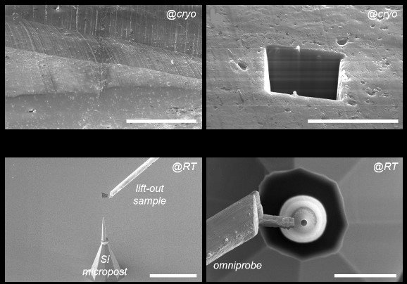 Cryo atom probe tomography for energy materials