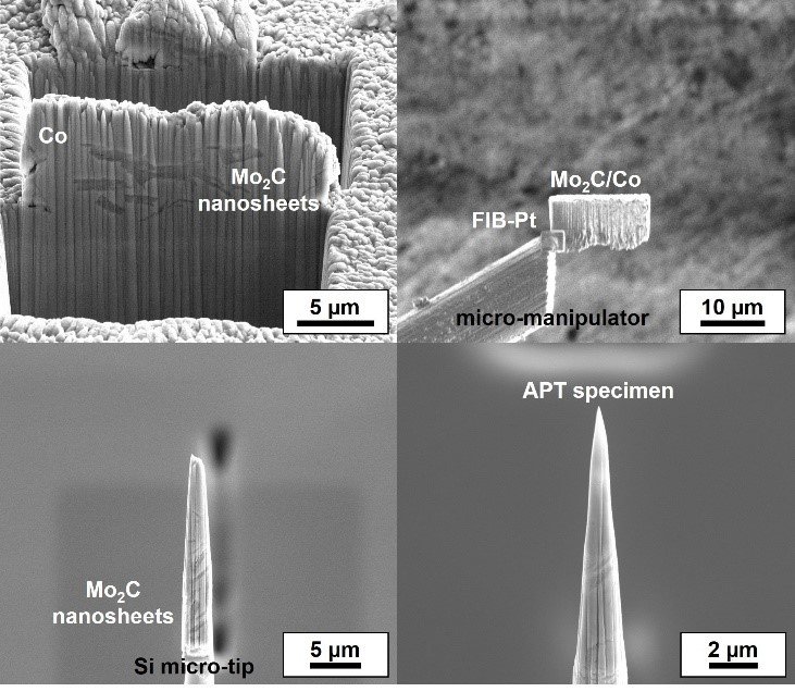 Figure 1: A series of scanning electron micrographs showing that nanosheets were embedded within the freshly deposited Co-film; the section was then lifted out and welded onto the micromanipulator inside the FIB, then deposited onto a micro-tip support, and finally sharpened into a needle-shaped specimen suitable for APT analysis, i.e. with an end radius below 100 nm.