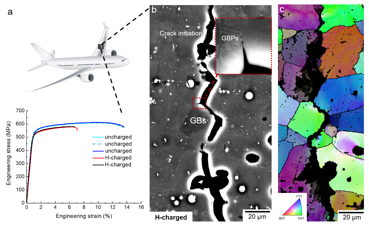 Zugfestigkeit und metallografische Bruchdarstellung einer Aluminiumbasislegierung mit Zink, Magnesium und Kupfer nach 24-stündiger Aushärtung bei 120 °C. a) Spannungs-Dehnungskurven von ungeladenen und mit Wasserstoff geladenen Proben. b und c) Elektronenaufnahme eines intergranularen Risses der mit Wasserstoff geladenen Legierung, die einem Zugbruch unterzogen wurde. GB: Korngrenze; GBPs: Korngrenzenausscheidungen.
