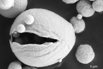 Metallpulver: umweltfreundlicher Brennstoff der Zukunft?