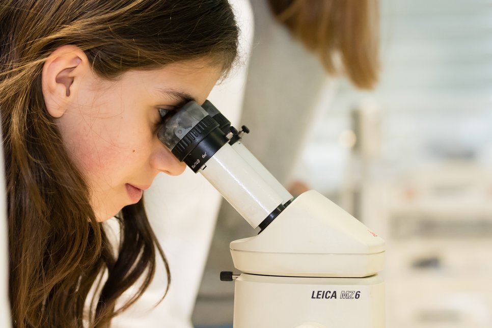 Einen Tag als Wissenschaftler*in: Girls‘ und Boys‘ Day am Max-Planck-Institut für Eisenforschung