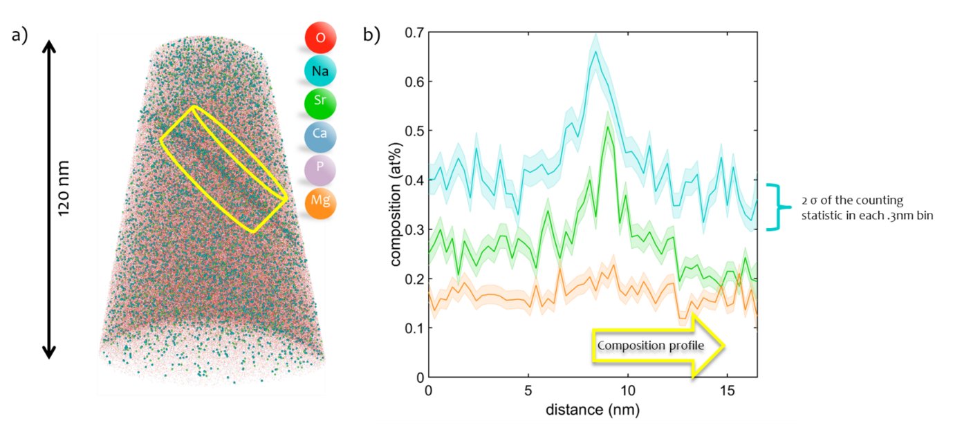 a) A 3D atom ion map of a Sr doped Ca3(PO4)2 sample. b) Composition profile calculated from a 50 nm-diameter cylinder positioned normally to the GB with a bin size of 0,3 nm.