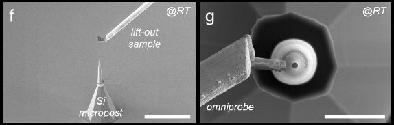 Cryo atom probe tomography for energy materials
