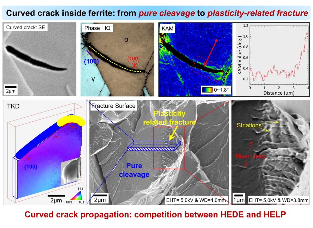 Hydrogen-associated decohesion and localized plasticity in a high-Mn -two phase- lightweight steel