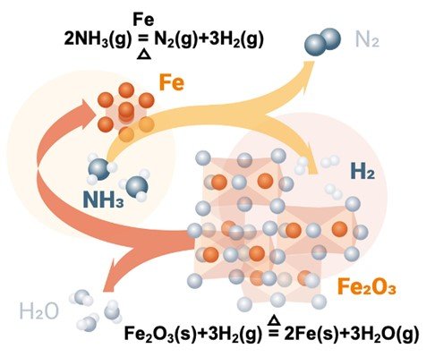 Autocatalytic reduction of iron oxide by hydrogen released from ammonia cracking during the direct reduction process. Autocatalytic reduction of iron oxide by hydrogen released from ammonia cracking during the direct reduction process.