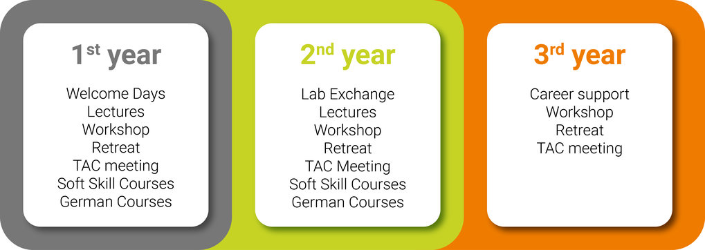 Structured activities across three program years: Year 1 covers welcome days, lectures, workshops, retreats, TAC meetings, soft skill and German courses. Year 2 expands with lab exchange, while Year 3 emphasizes career support.