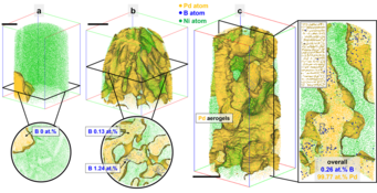 These are results of the atom probe analysis of palladium (Pd) nanomaterials after being used as electrocatalyst. In each image, the green points are individual nickel (Ni) atoms that are imaged, and in yellow are Pd atoms. The Ni is just used as a support to facilitate the analysis of these nanomaterials by atom probe. Golden surfaces are added to highlight the Pd nanocatalysts, and inside, we can image the distribution of boron (B) atoms as blue dots. Before electrocatalysis, the average content of B was over 2 at%, and the atoms were spread evenly throughout the Pd. After electrocatalysis, we found regions of the Pd nanocatalyst that had lost all its B (b, c), and others in which there was little B left, and often the B appears agglomerated in specific regions, which may lower its influence on the materials as a whole. Note that all scale bars are 20 nm. These are results of the atom probe analysis of palladium (Pd) nanomaterials after being used as electrocatalyst. In each image, the green points are individual nickel (Ni) atoms that are imaged, and in yellow are Pd atoms. The Ni is just used as a support to facilitate the analysis of these nanomaterials by atom probe. Golden surfaces are added to highlight the Pd nanocatalysts, and inside, we can image the distribution of boron (B) atoms as blue dots. Before electrocatalysis, the average content of B was over 2 at%, and the atoms were spread evenly throughout the Pd. After electrocatalysis, we found regions of the Pd nanocatalyst that had lost all its B (b, c), and others in which there was little B left, and often the B appears agglomerated in specific regions, which may lower its influence on the materials as a whole. Note that all scale bars are 20 nm.