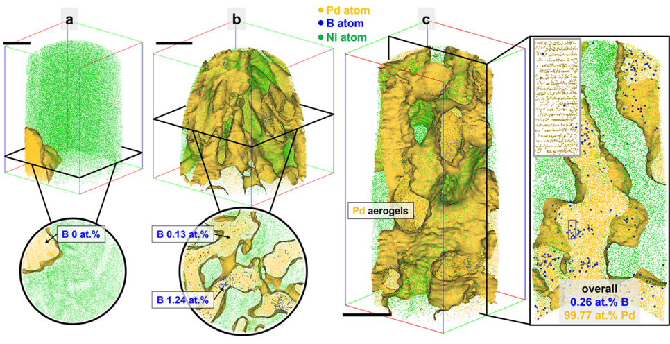 These are results of the atom probe analysis of palladium (Pd) nanomaterials after being used as electrocatalyst. In each image, the green points are individual nickel (Ni) atoms that are imaged, and in yellow are Pd atoms. The Ni is just used as a support to facilitate the analysis of these nanomaterials by atom probe. Golden surfaces are added to highlight the Pd nanocatalysts, and inside, we can image the distribution of boron (B) atoms as blue dots. Before electrocatalysis, the average content of B was over 2 at%, and the atoms were spread evenly throughout the Pd. After electrocatalysis, we found regions of the Pd nanocatalyst that had lost all its B (b, c), and others in which there was little B left, and often the B appears agglomerated in specific regions, which may lower its influence on the materials as a whole. Note that all scale bars are 20 nm.