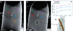 The influence of Ag on strength of a Σ5 Cu bicrystal (Bxx). Post-mortem SEM images of a) pure Cu Bxx and b) Ag-decorated Cu Bxx where markings indicate active slip traces. In both cases slip trace continuity indicative of direct dislocation transmission was observed (white arrows). c) Comparison of flow stress values at 1%, 2% and 4% strain offset show consistent strengthening of Ag-decorated boundary. 3D reconstructed atom probe tip d) showing 0.8 at.% Ag isosurface at the GB.