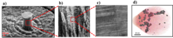 Nanocyrstalline nanotwinned Cu-Ag thin-films. a) Post-deformation image of a nanopillar, where b) highlights a columnar grain structure and c) indicates the densely packed nanotwins within the columnar grains. d) 3D reconstructed atom probe result highlighting Ag segregation at a triple junction and at grain boundaries.