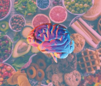 Macht uns unser Gehirn dick? Vortrag von Professor Marc Tittgemeyer am Max-Planck-Institut für Eisenforschung am 9. November 2023. Macht uns unser Gehirn dick? Vortrag von Professor Marc Tittgemeyer am Max-Planck-Institut für Eisenforschung am 9. November 2023.