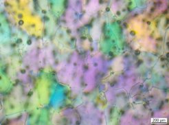 Fig. 3. Optical microscopy image (TIC detector) of ice microstructure at – 5 °C is shown where both crystalline domains and gas bubbles are clearly observed.
