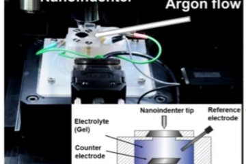 Hydrogen-microstructure interactions in bcc Fe-Cr alloys at small scale