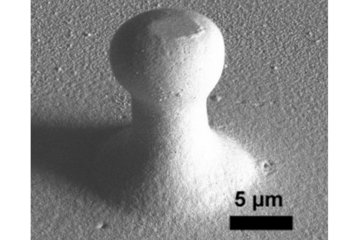 Strain rate, size and defect density interdependence on the deformation of 3D printed pillars