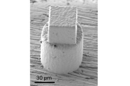 Understanding electrochemical corrosion at metal-liquid nanointerfaces