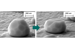 Dynamic micro-compression of dewetted intermetallic microparticles: A case study on B2-iron aluminides