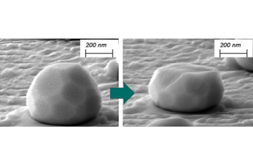 Dynamic micro-compression of dewetted intermetallic microparticles: A case study on B2-iron aluminides