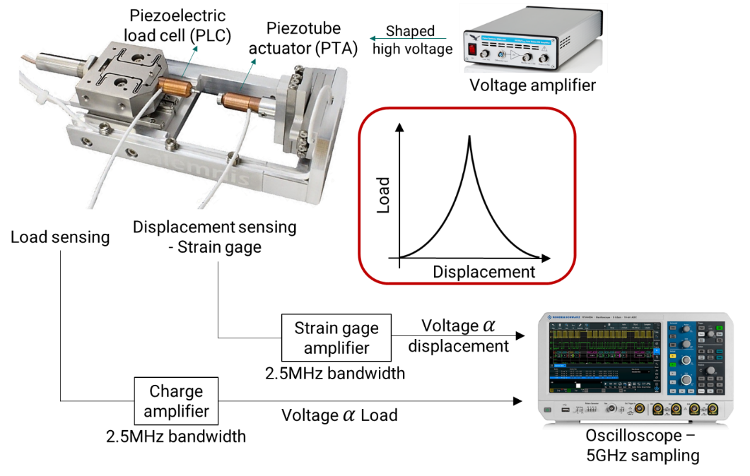 © Max-Planck-Institut für Nachhaltige Materialien GmbH