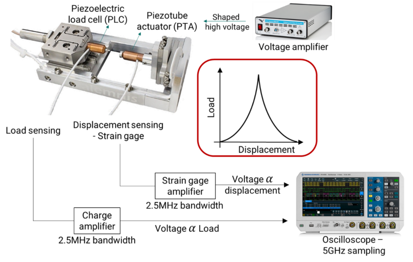 © Max-Planck-Institut für Nachhaltige Materialien GmbH