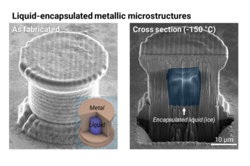 Liquid-filled metal microarchitectures