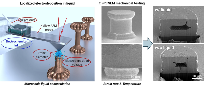 © Max-Planck-Institut für Nachhaltige Materialien GmbH